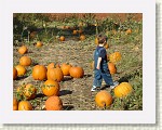 DSC07193 * 2048 x 1536 * (1.54MB)