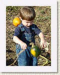 DSC07194 * 1536 x 2048 * (1.54MB)