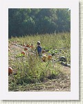 DSC07195 * 1536 x 2048 * (1.46MB)