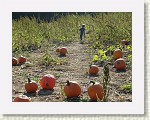 DSC07196 * 2048 x 1536 * (1.5MB)