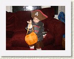 DSC07419 * 2048 x 1536 * (1.39MB)