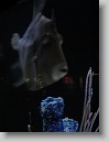 DSC07479 * 1536 x 2048 * (1.28MB)