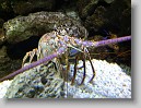 DSC07484 * 2048 x 1536 * (1.49MB)