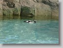 DSC07491 * 2048 x 1536 * (1.33MB)