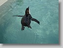 DSC07494 * 2048 x 1536 * (1.35MB)