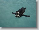 DSC07500 * 2048 x 1536 * (1.17MB)