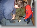 DSC07675 * 2304 x 1728 * (1.71MB)