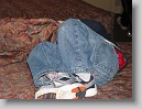 IMG_2533 * 3264 x 2448 * (5.31MB)