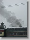 IMG_2551 * 2448 x 3264 * (3.75MB)