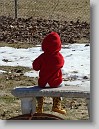 DSC01040 * 2448 x 3264 * (1.95MB)