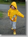 DSC01314 * 2448 x 3264 * (2.38MB)
