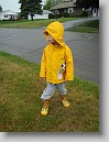 DSC01322 * 2448 x 3264 * (2.78MB)