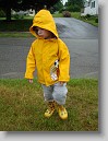 DSC01323 * 2448 x 3264 * (2.2MB)