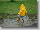DSC01349 * 3264 x 2448 * (2.91MB)