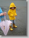 DSC01356 * 2448 x 3264 * (2.25MB)