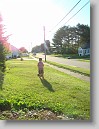 DSC01449 * 2448 x 3264 * (2.29MB)