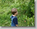 DSC02128 * 3264 x 2448 * (2.58MB)