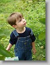 DSC02130 * 2448 x 3264 * (2.32MB)