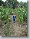 DSC02160 * 2448 x 3264 * (2.68MB)