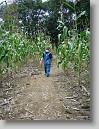 DSC02166 * 2448 x 3264 * (2.59MB)