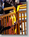 DSC02272 * 2448 x 3264 * (2.05MB)