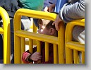 DSC02313 * 3264 x 2448 * (2.01MB)