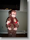 DSC02237 * 1536 x 2048 * (1.27MB)