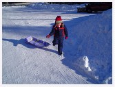 DSC02261 * 2048 x 1536 * (1.42MB)