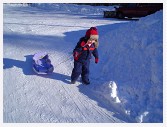 DSC02262 * 2048 x 1536 * (1.4MB)